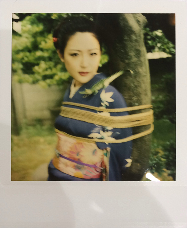 © Araki