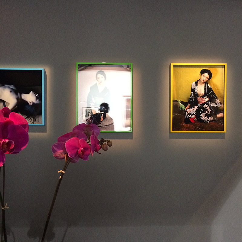 © Araki